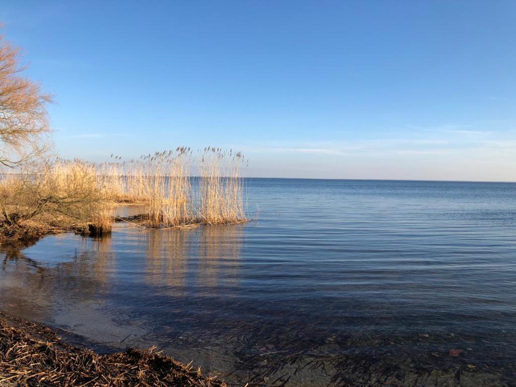 Ferienwohnung Seeblick - Insel Usedom Balm Exterior photo